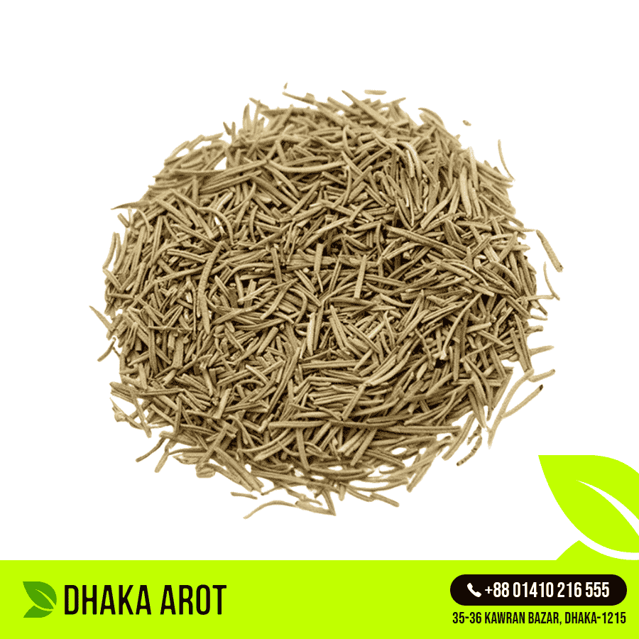 Rosemary (রোজমেরি)