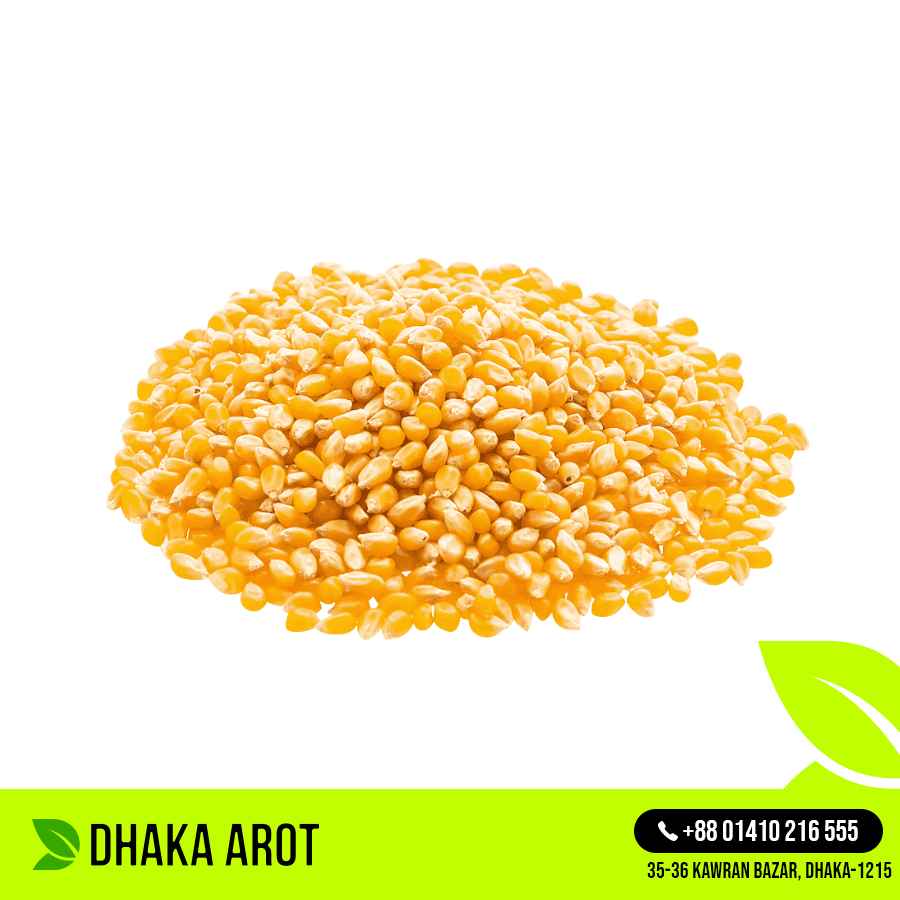 Corn / Maize (ভুট্টা - পপকর্ন)