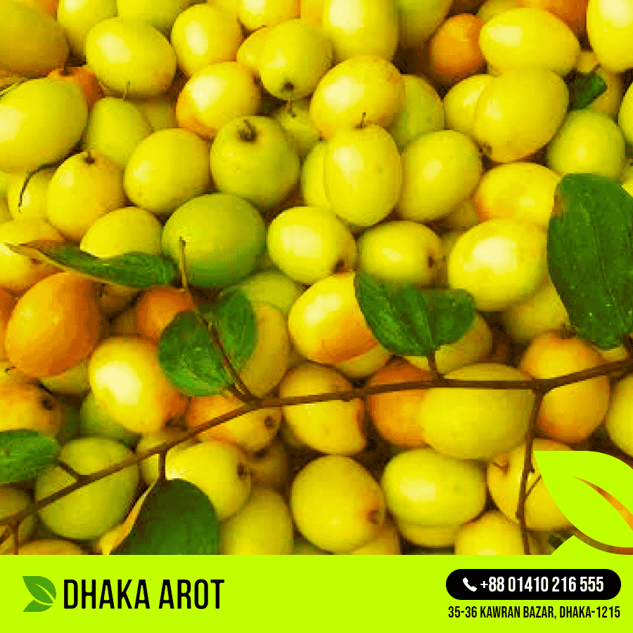 Narkeli Boroi (নারিকেলি বরই)