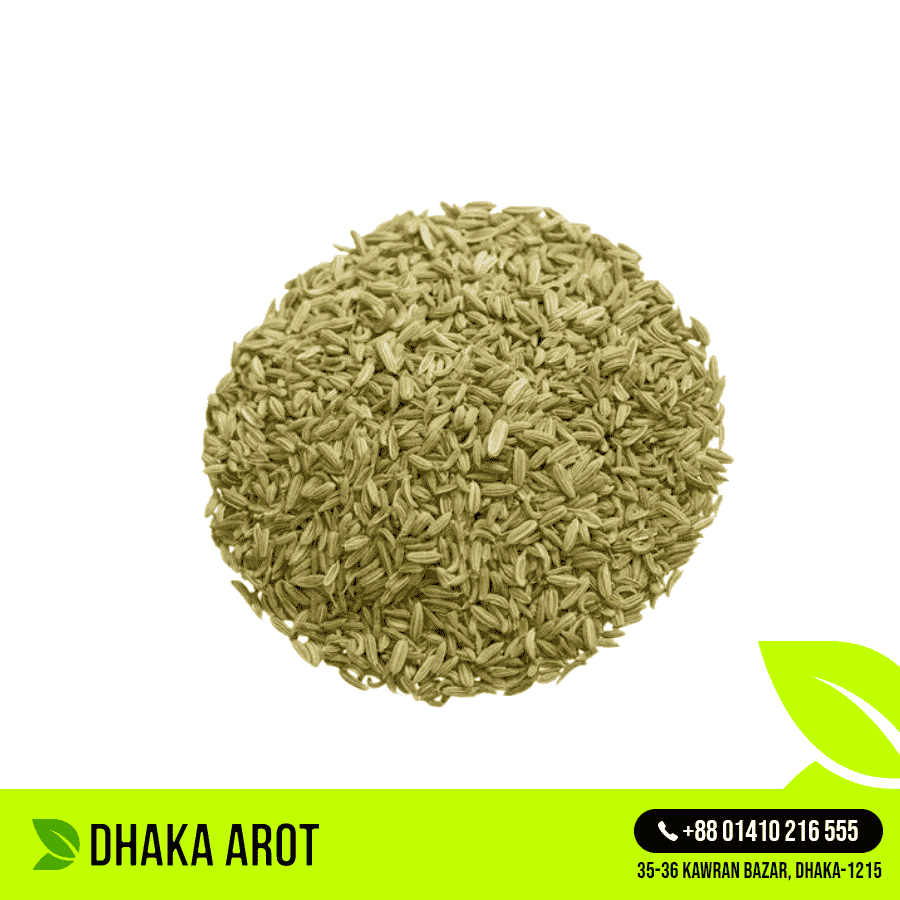 Fennel Seeds (মৌরি)