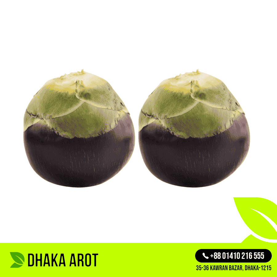 Palmyra Palm (তাল)