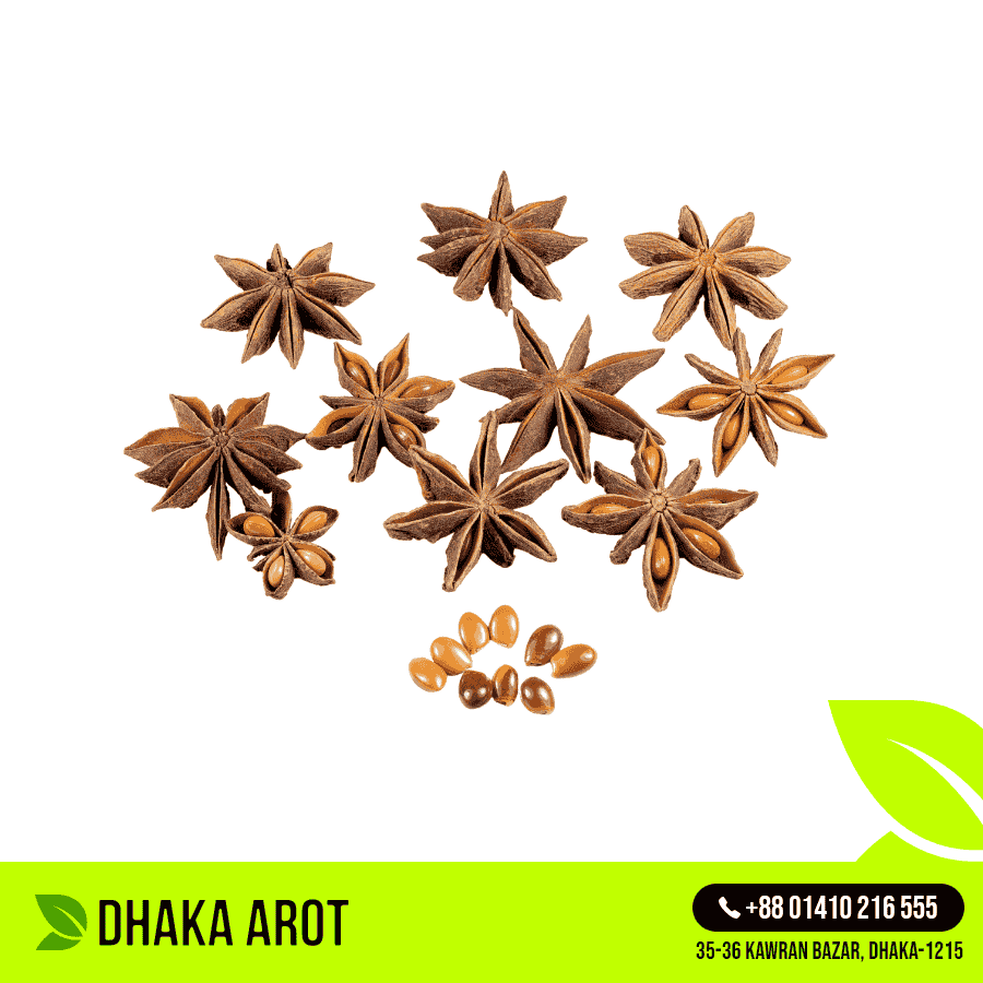 Star Anise (স্টার মশলা)