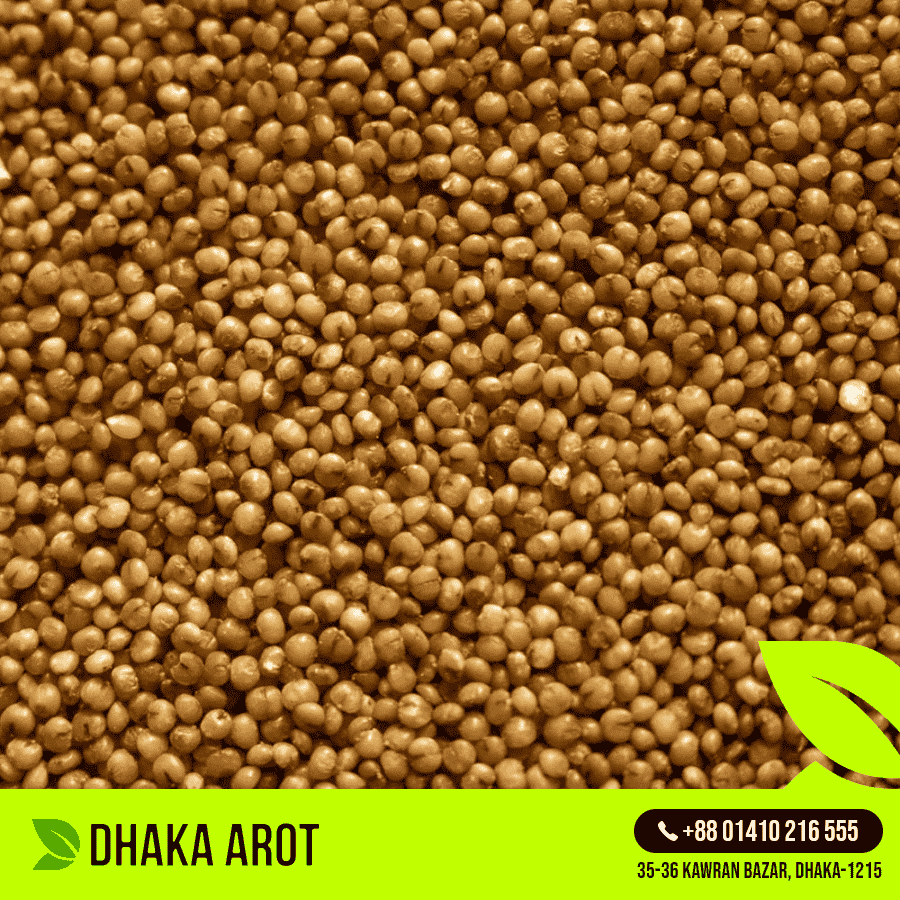 Kodo Millet (কোদো বাজরা)